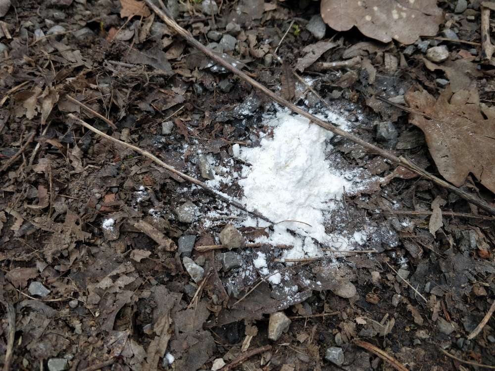 Giftköder-Rattengift mehrere Stellen entlang der Waldwege verstreut -Profilbild