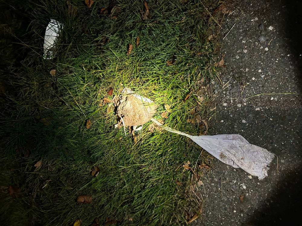 Giftköder-Möglicher Giftköder-Profilbild