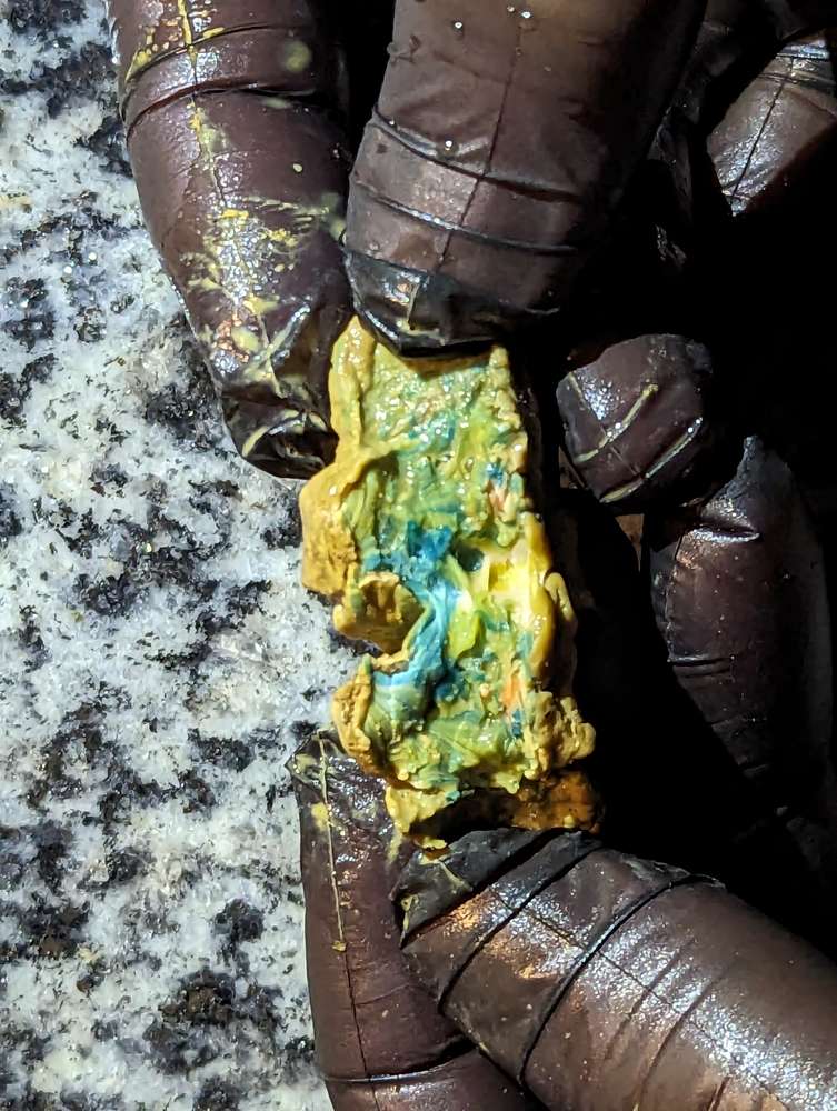 Giftköder-Fleisch oder ähnliches-Profilbild