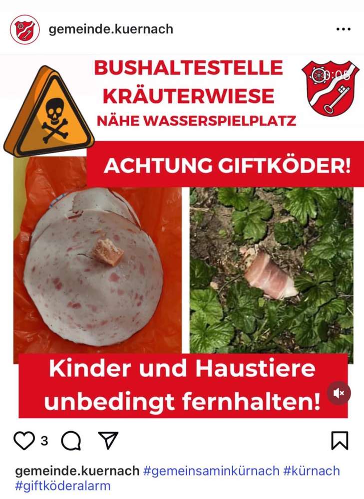Giftköder-Giftköder-Profilbild