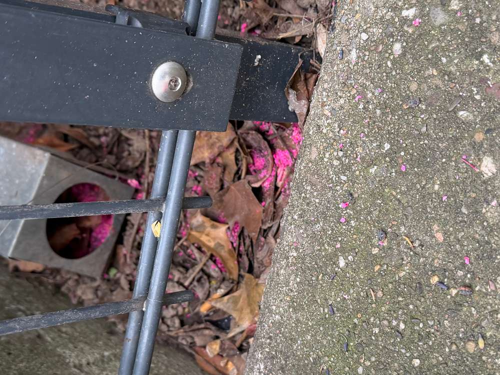 Giftköder-Rattengift -Profilbild