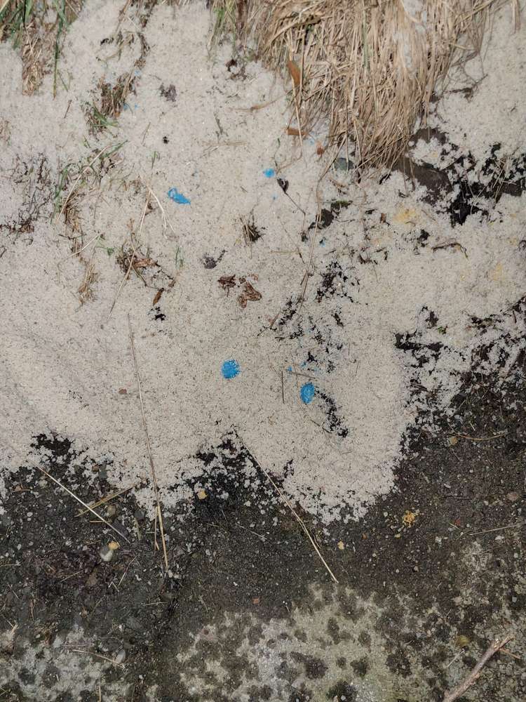 Giftköder-Giftköder-Profilbild