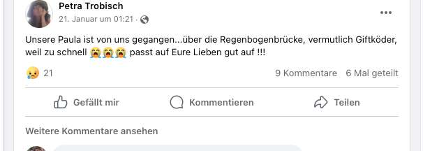 Giftköder-Toter Hund - Giftköder-Profilbild