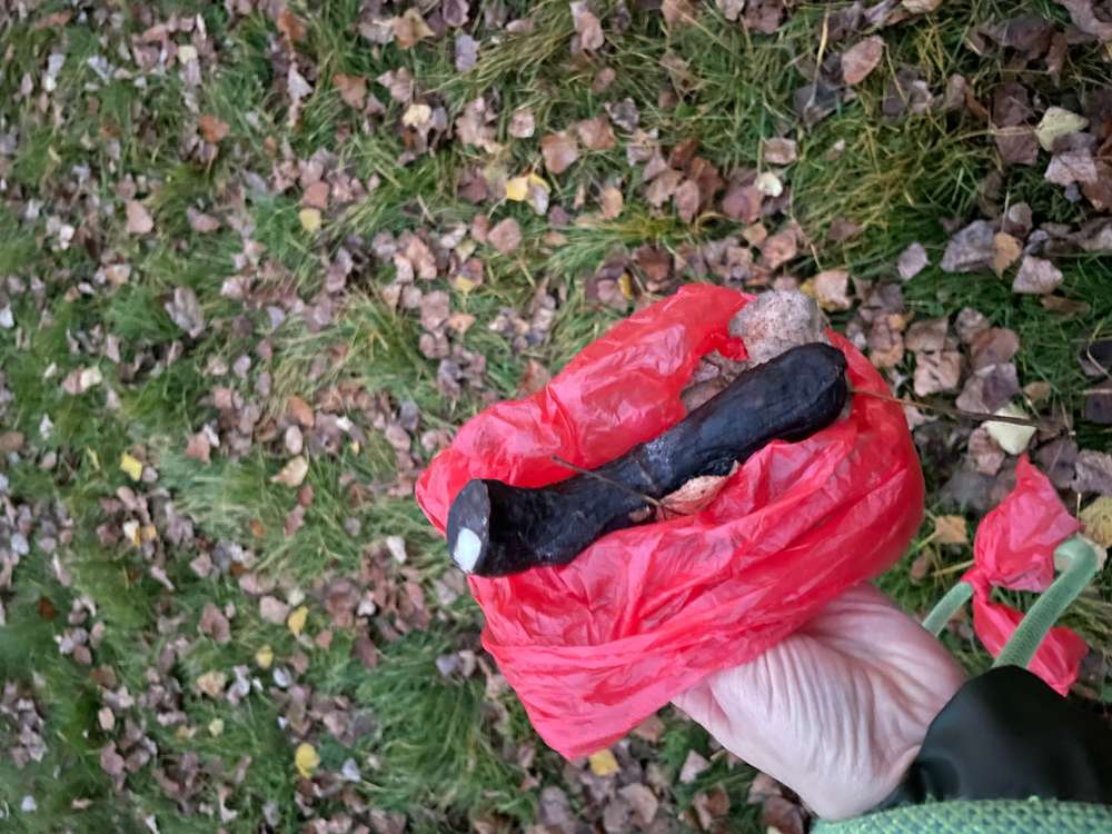 Giftköder-Präparierte Wurst - möglicher Giftköder-Profilbild