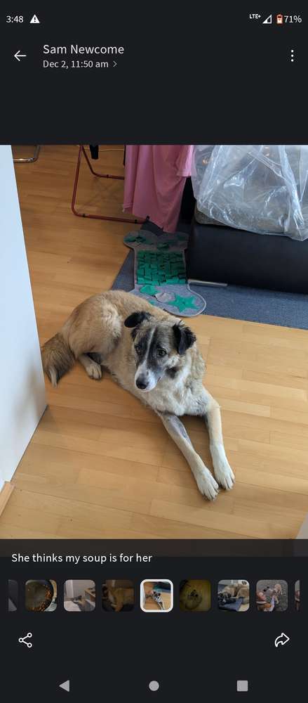 Suchmeldung-Sky-Profilbild