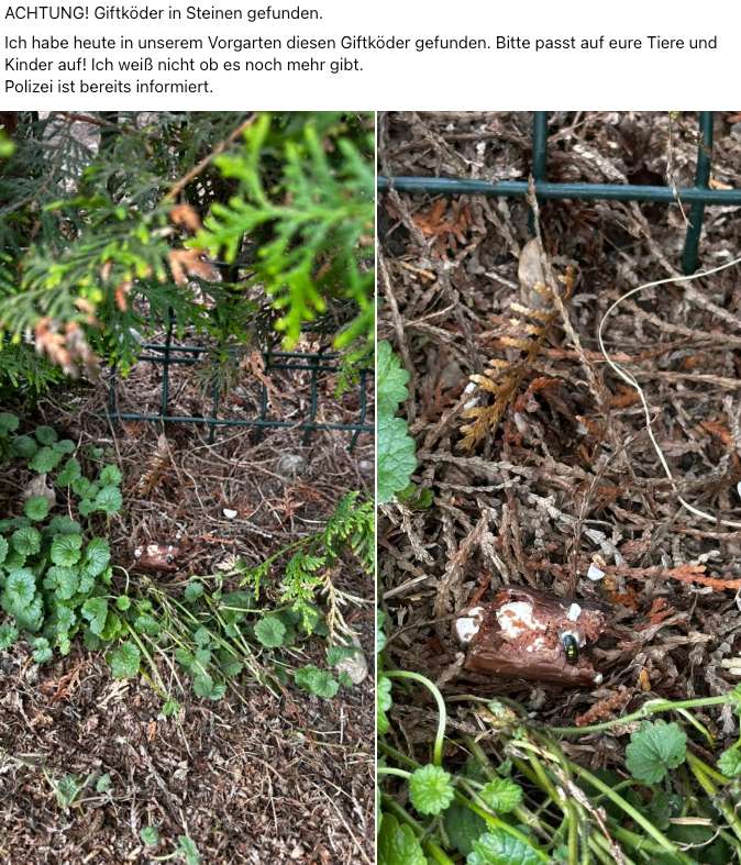 Giftköder-Giftköder-Profilbild