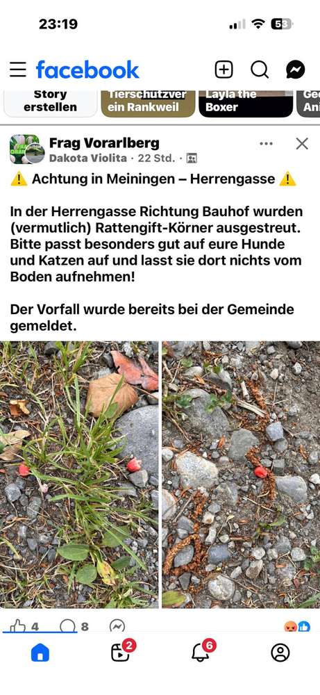 Giftköder-ACHTUNG! (vermutlich) Rattengift! -Profilbild