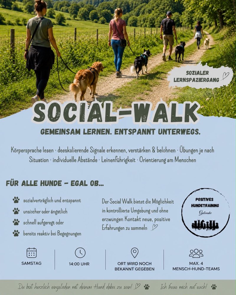 Hundetreffen-Social Walk – gemeinsam lernen, entspannt unterwegs-Profilbild