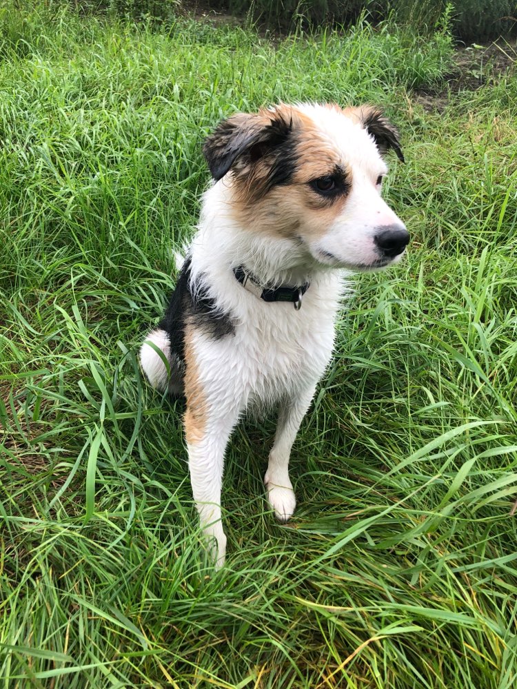 Suchmeldung-Floyd-Profilbild