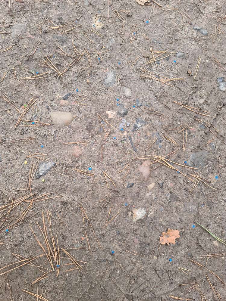 Giftköder-Schneckenkorn-Profilbild