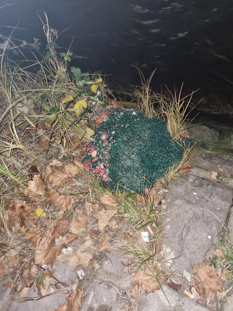 Giftköder-Rattengift-Profilbild