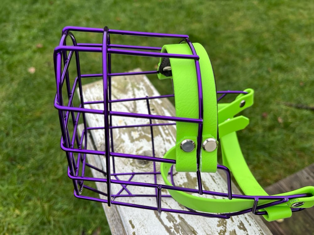 Hundetreffen-Maulkorbberatung / Anpassung/ Gestaltung-Profilbild