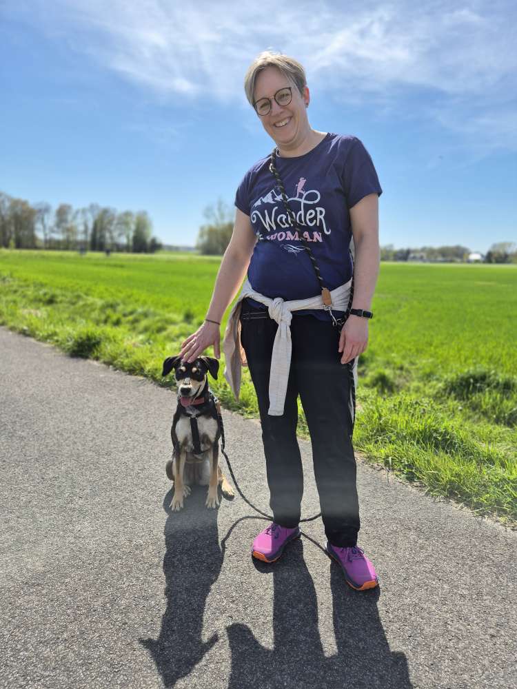 Hundetreffen-Gassi-und Spielpartner gesucht-Profilbild