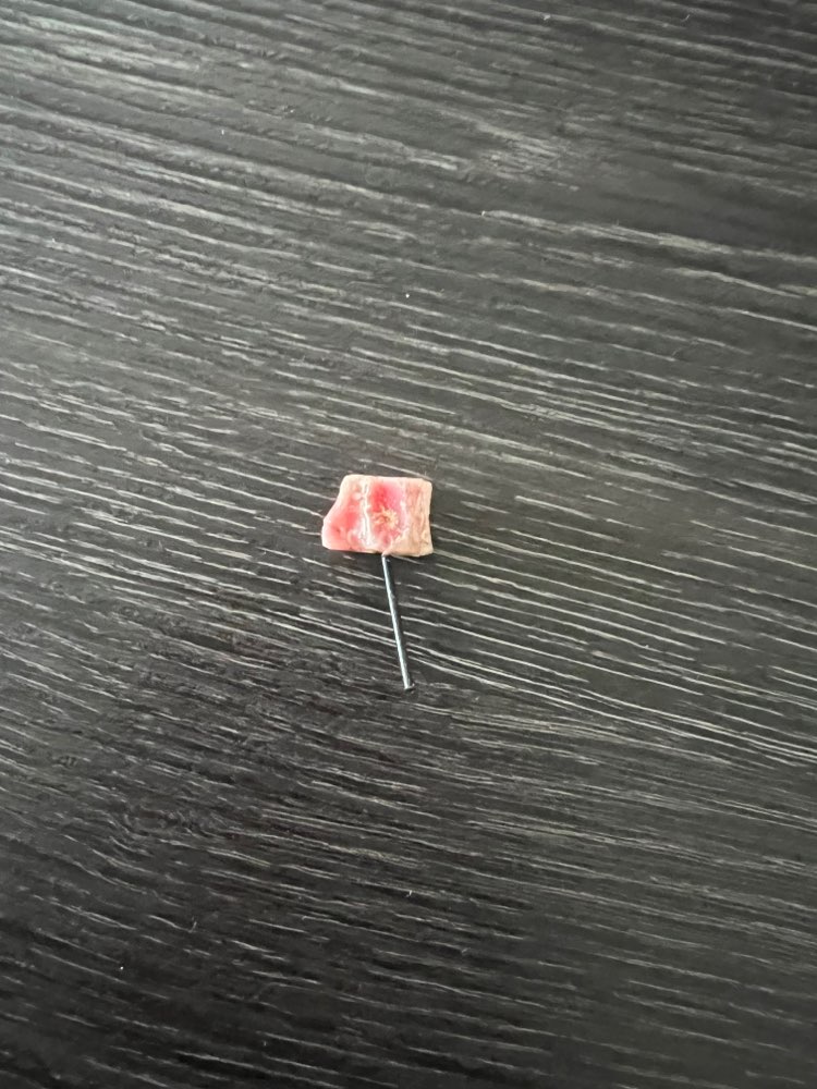 Giftköder-Köder und Knochen-Profilbild