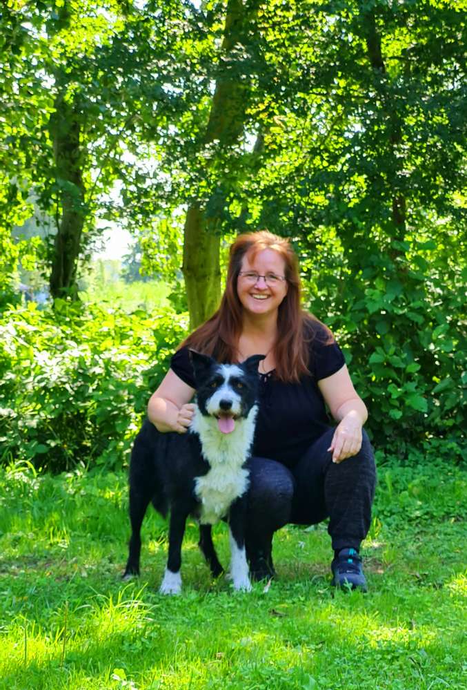 Hundetreffen-Gemeinsame Gassirunden rund um Ochtendung-Profilbild