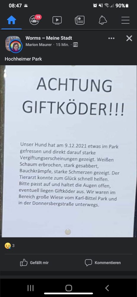 Giftköder-Giftköder-Profilbild