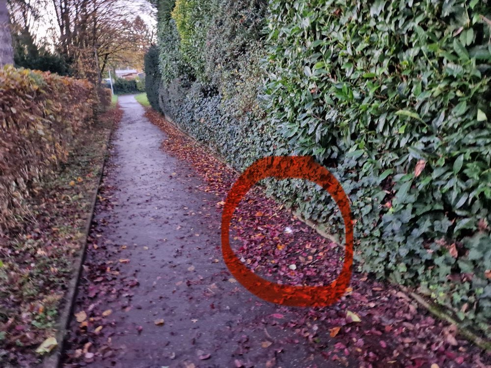 Giftköder-Weißes Pulver überall-Profilbild