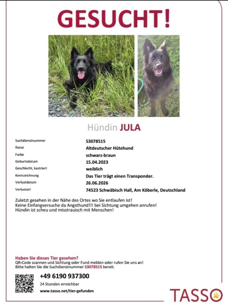 Suchmeldung-Jula-Profilbild