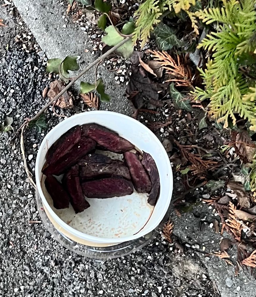 Giftköder-Fleischreste- ggf. Köder-Profilbild