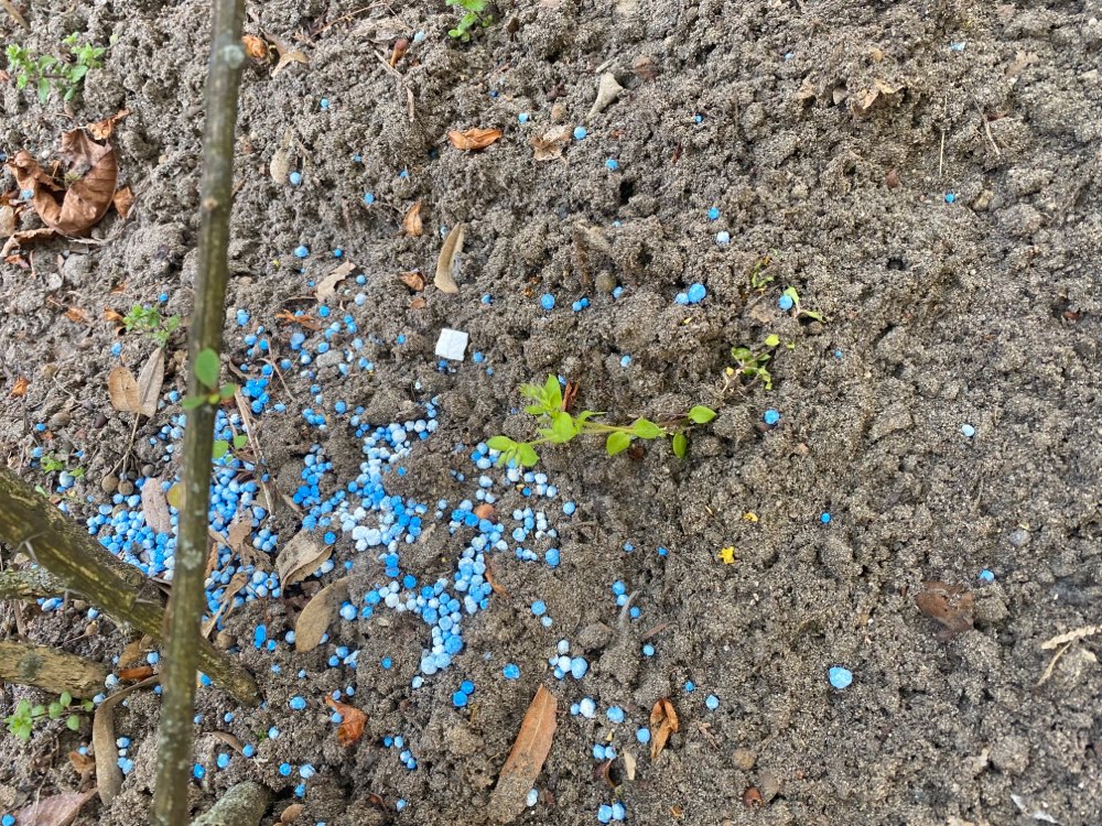 Giftköder-Rattengift-Profilbild