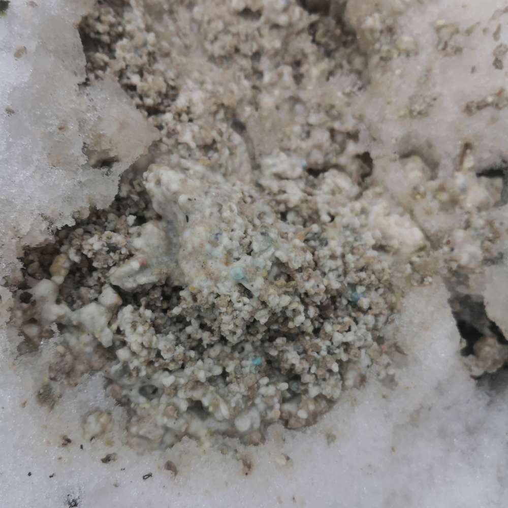 Giftköder-Mgl. Giftköder-Profilbild