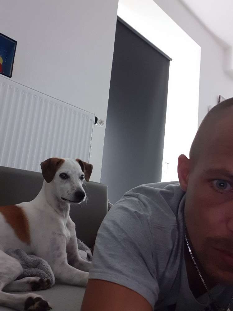 Hundetreffen-Moin moin...-Profilbild