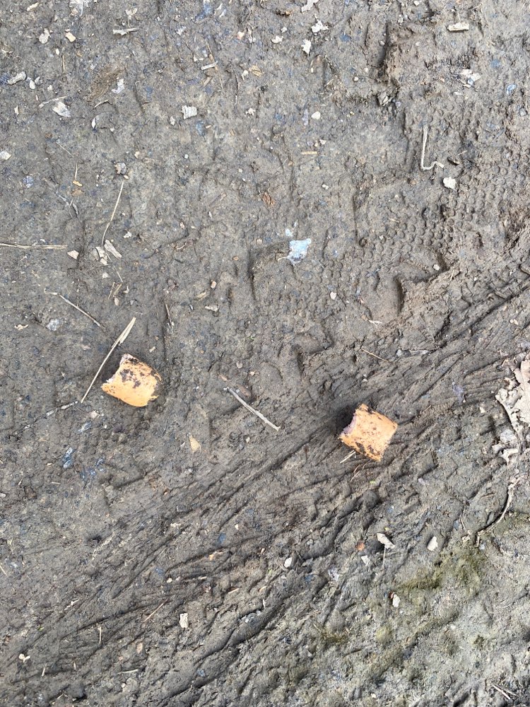 Giftköder-Wienerstück mit Laub bedeckt-Profilbild