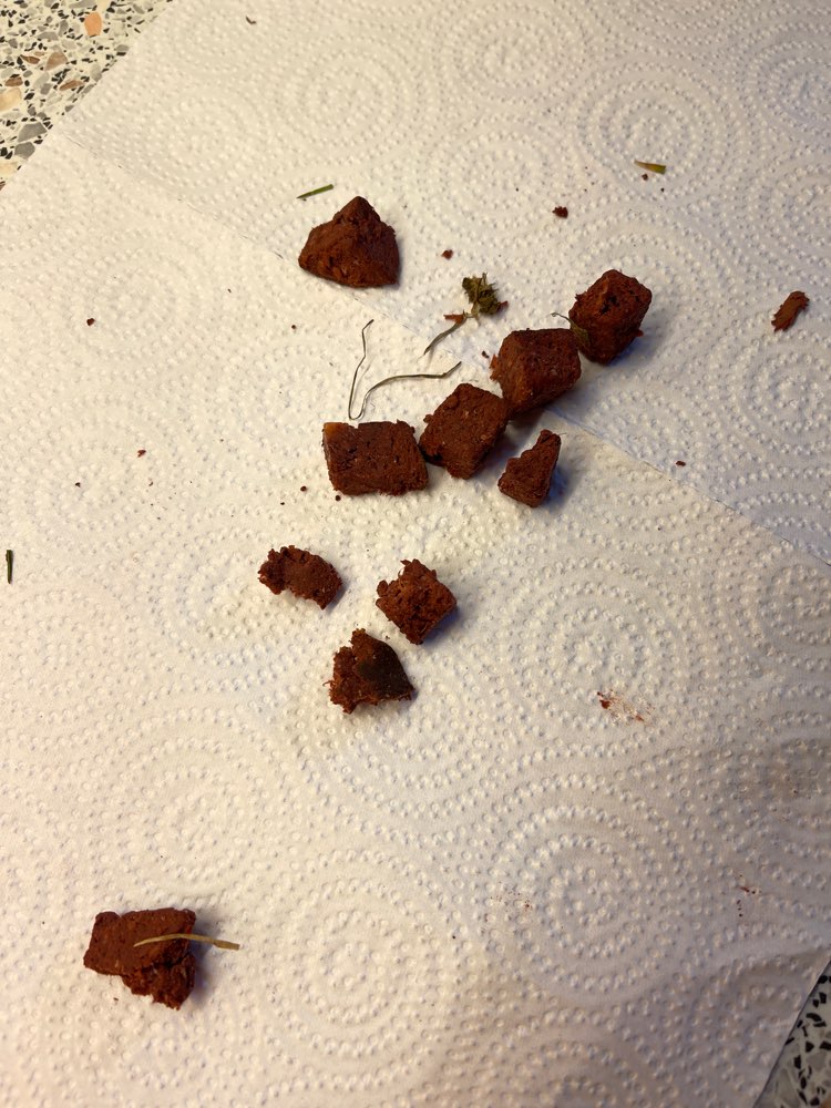 Giftköder-Evtl Giftköder-Profilbild