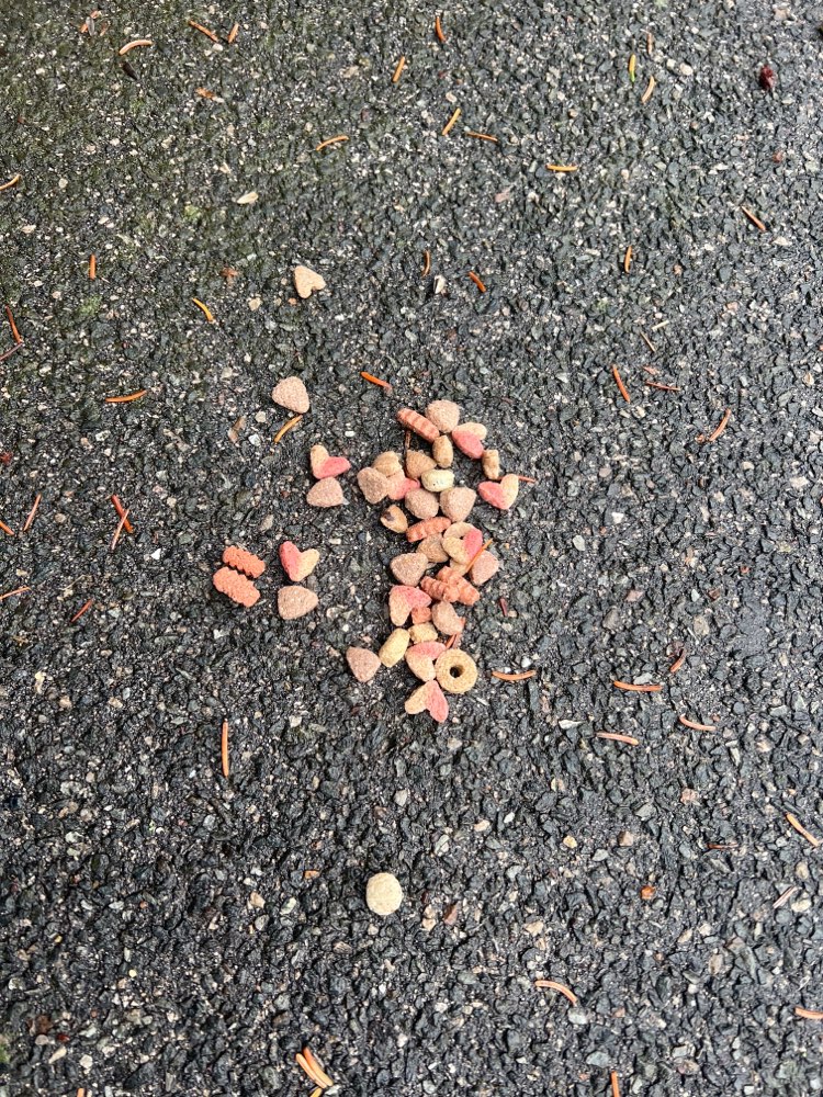 Giftköder-Evtl Giftköder-Profilbild