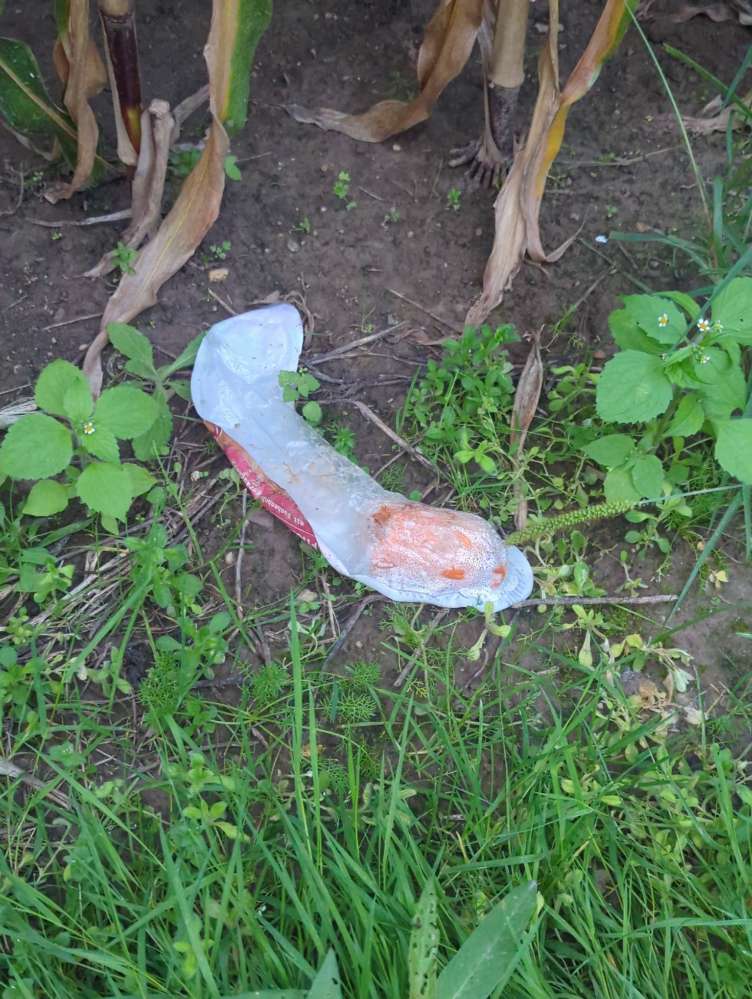 Giftköder-Fleischwurst-Profilbild