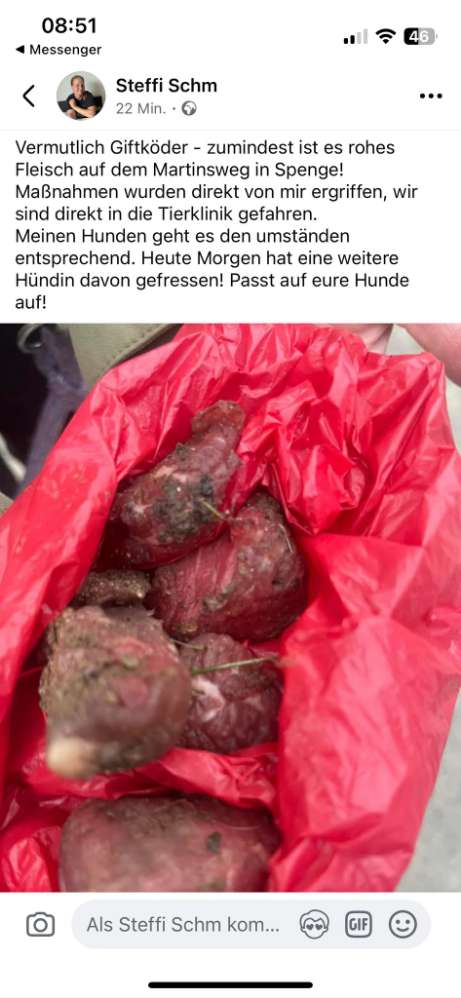 Giftköder-Giftköder-Profilbild