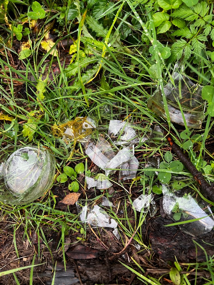 Giftköder-Glasscherben mehrerer Flaschen-Profilbild