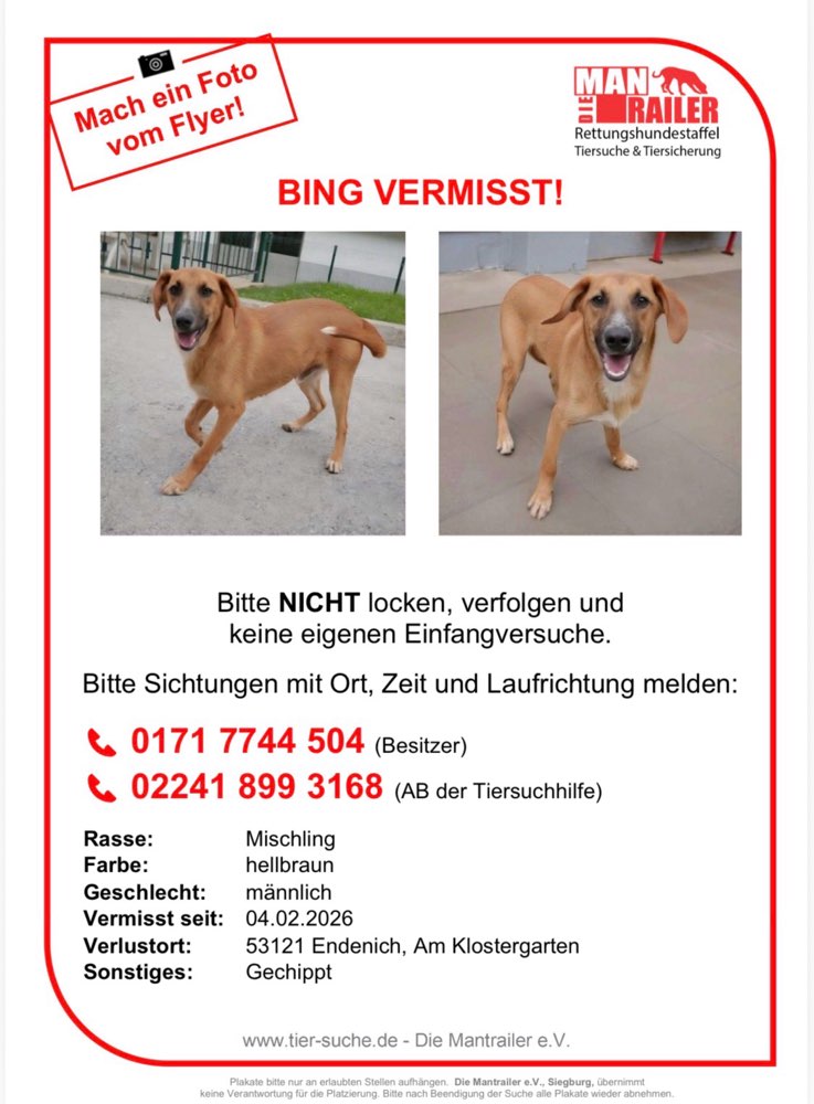 Suchmeldung-Bing-Profilbild