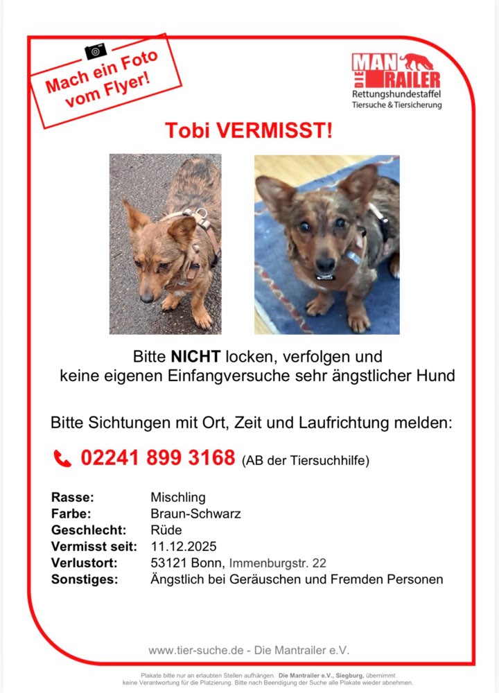 Suchmeldung-Tobi-Profilbild