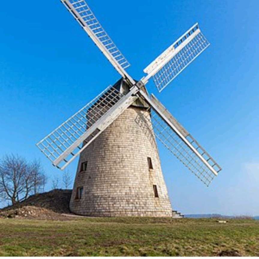 Hundetreffen-Auf zur Windmühle in Bavenhausen-Profilbild