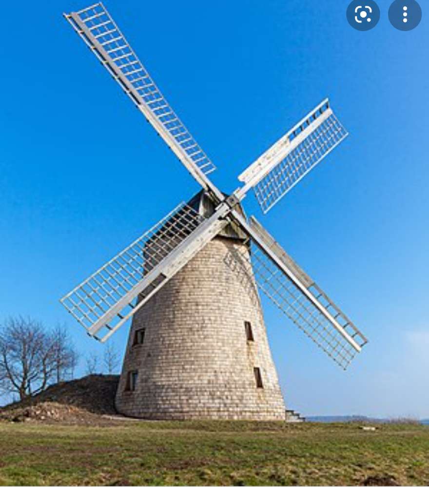 Hundetreffen-Wandern zur Bavenhauser Windmühle-Profilbild