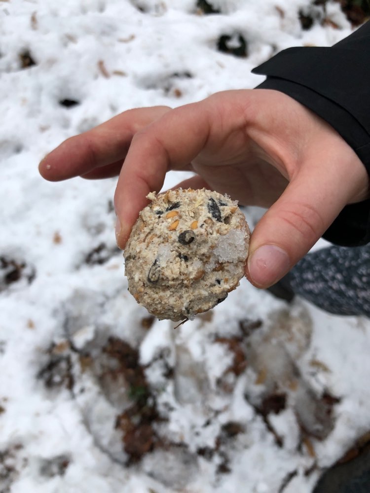 Giftköder-Möglicher Giftköder-Profilbild