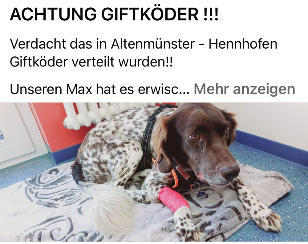 Giftköder-Giftköder-Profilbild
