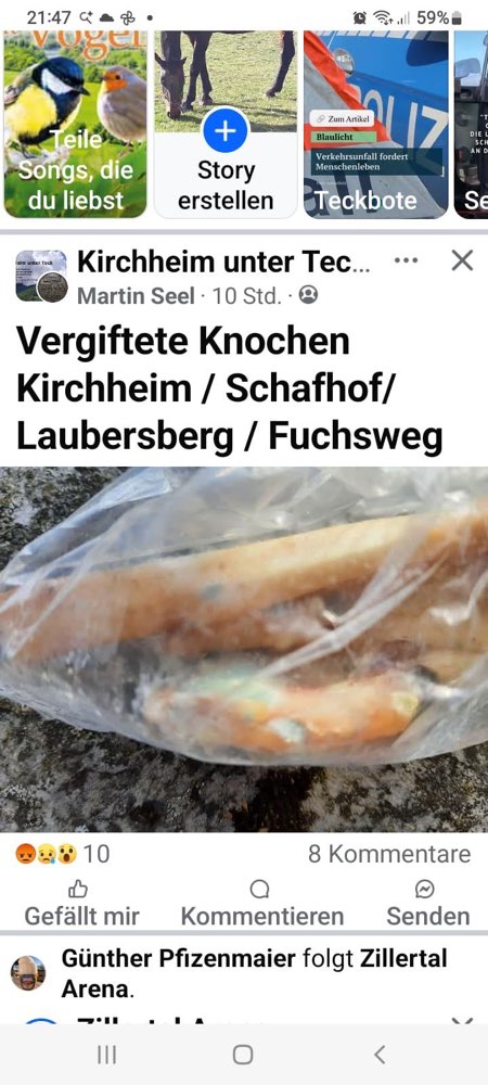 Giftköder-Giftköder/Knochen-Profilbild