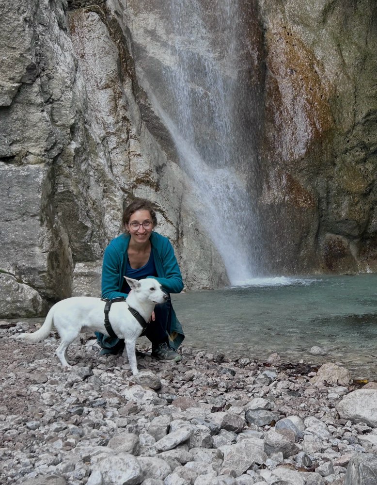 Hundetreffen-gegenseite Hundebetreuung/ Spielfreunde-Profilbild