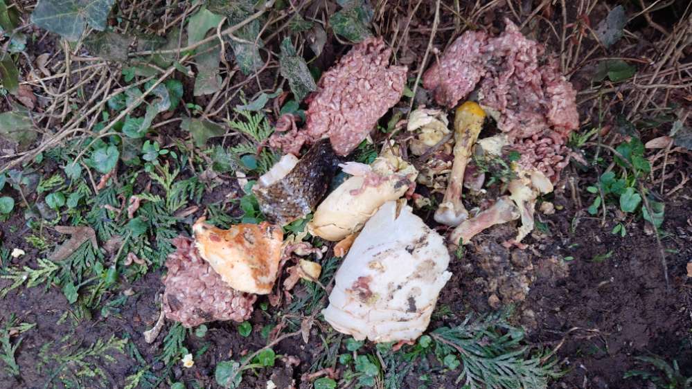 Giftköder-Giftköder-Profilbild