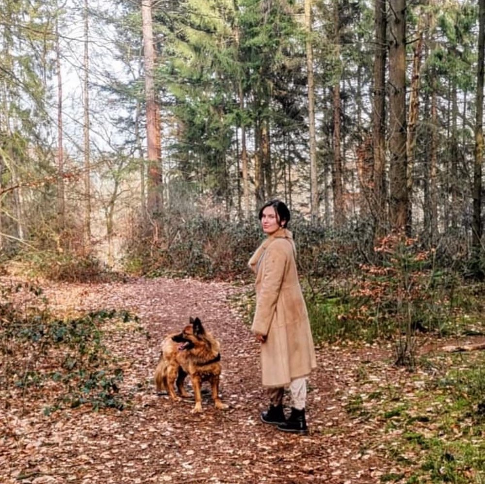 Hundetreffen-Ausgiebige Spaziergänge durch Wald & Wiesen-Profilbild