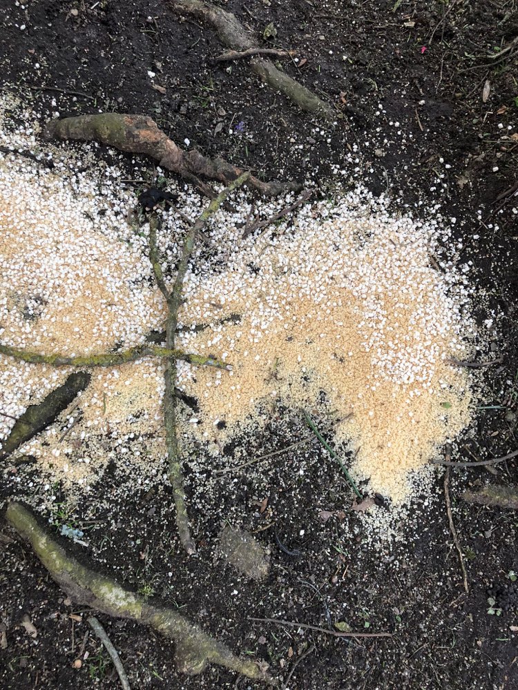 Giftköder-Eventuell Giftköder-Profilbild