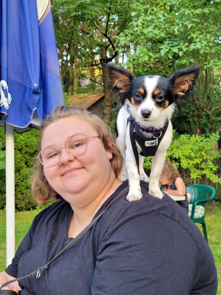 Hundetreffen-Spieltreffen Minis-Profilbild