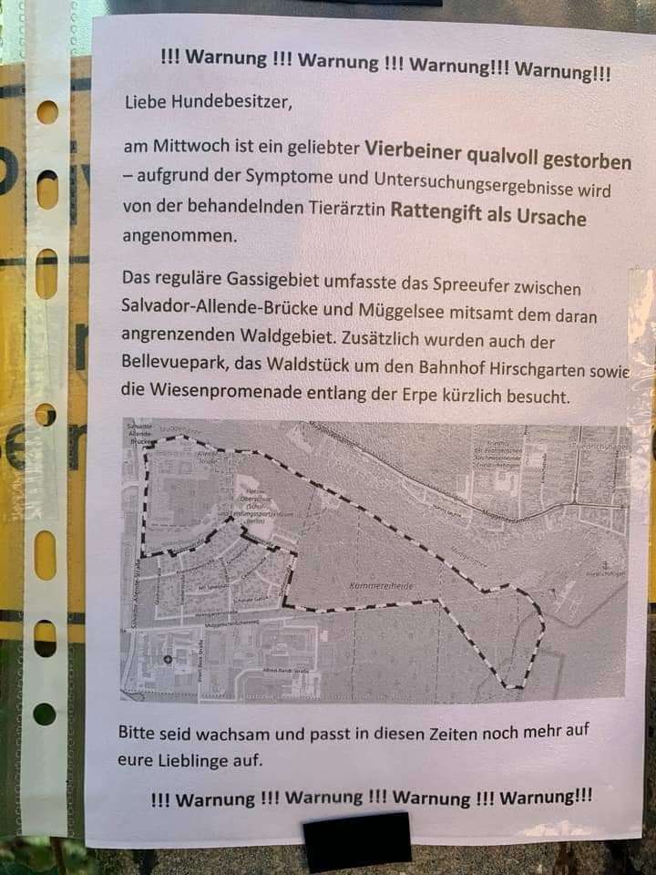 Giftköder-Giftköder - Toter Hund-Profilbild