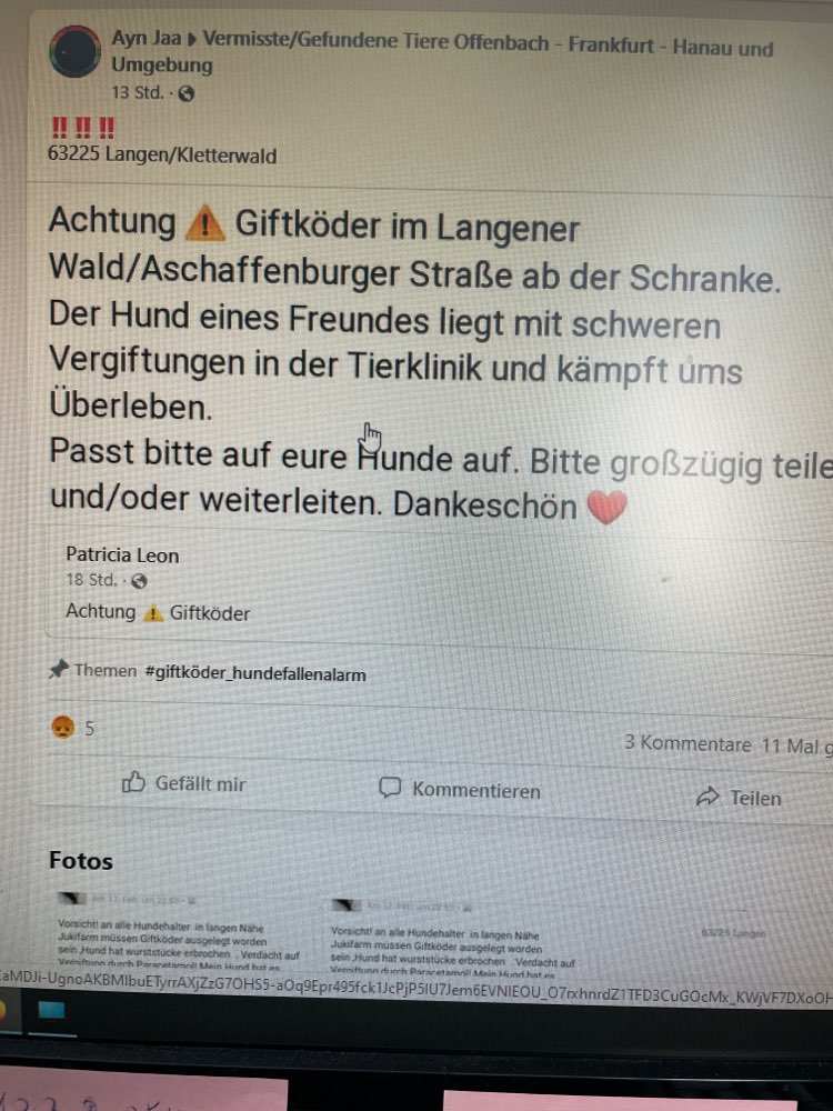Giftköder-Giftköder-Profilbild