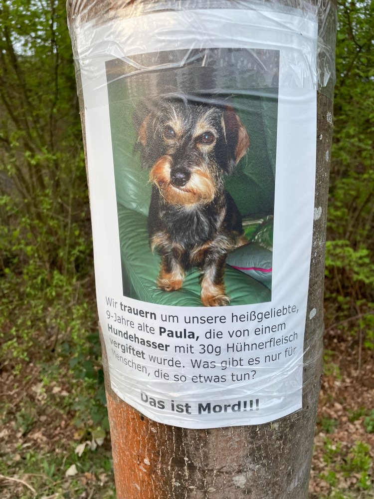 Giftköder-Giftköder-Profilbild