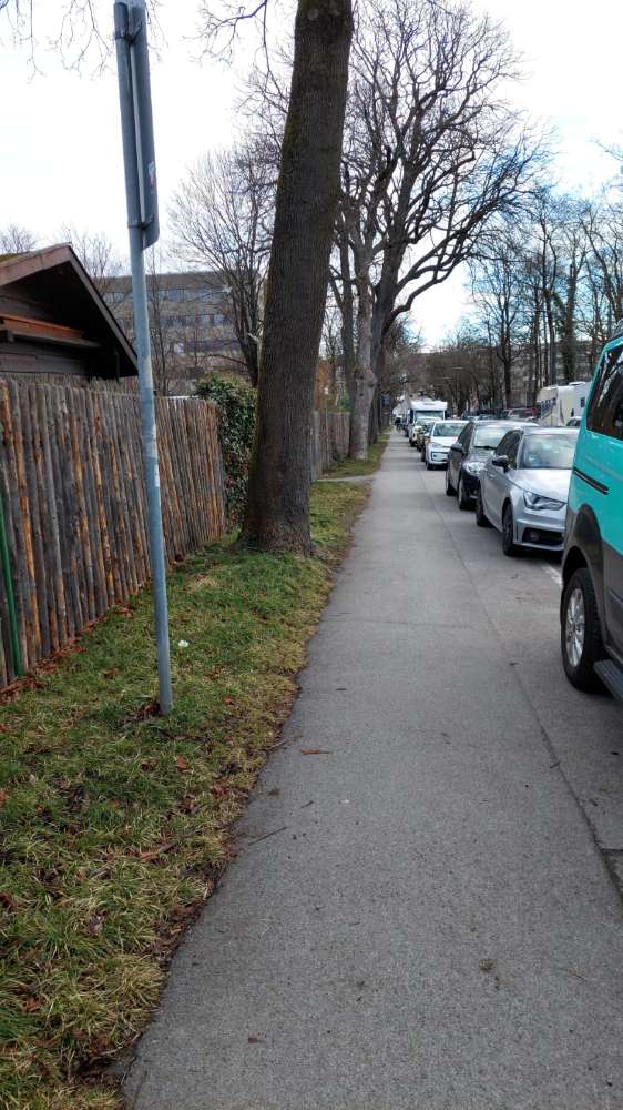 Giftköder-Lebensmittel vergammelt-Profilbild