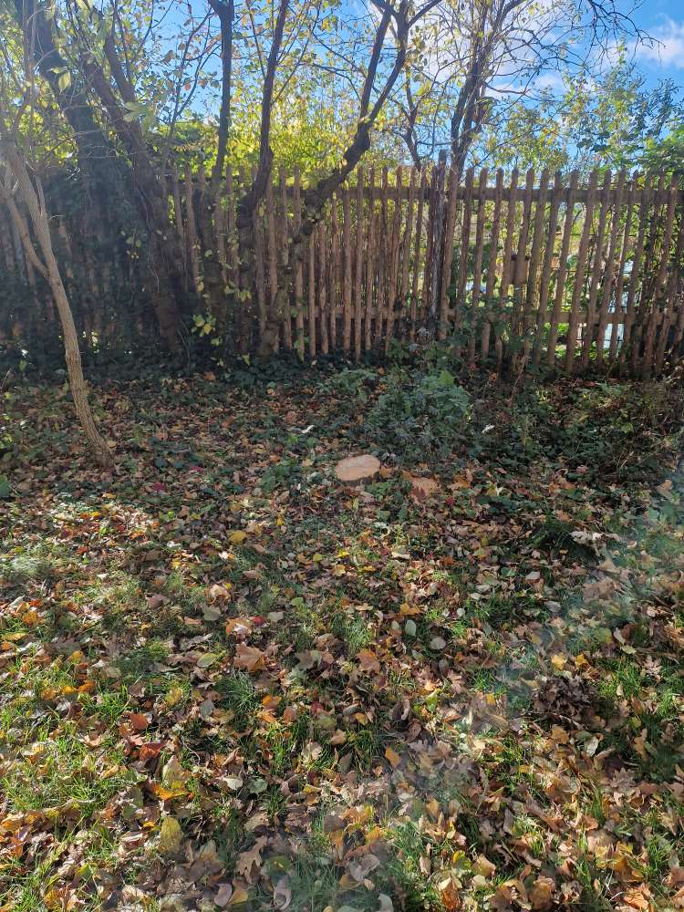 Giftköder-Komisches Zeug drapiert-Profilbild