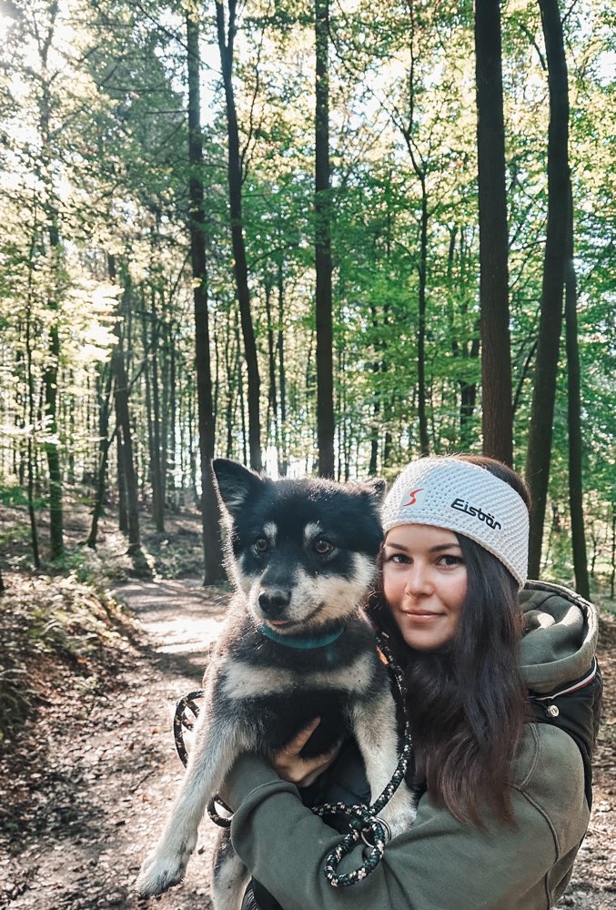 Hundetreffen-Spielkumpel gesucht-Profilbild